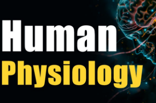 Human Physiology